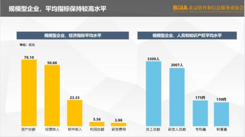 2021北京軟件企業核心競爭力評價報告 發布