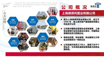 互聯(lián)網(wǎng)科技開發(fā)與技術(shù)服務(wù) 重塑物業(yè)管理行業(yè)的未來