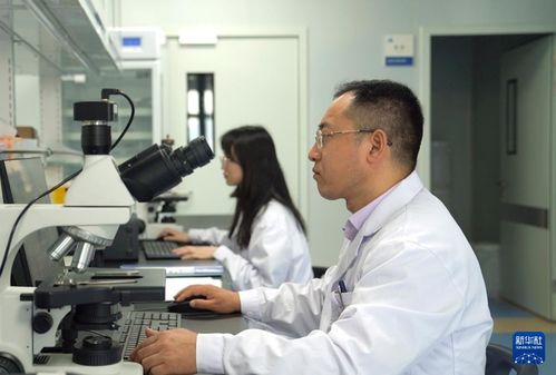 新華全媒 我國科研團隊首次構(gòu)建泛癌種脈管系統(tǒng)全息細胞圖譜